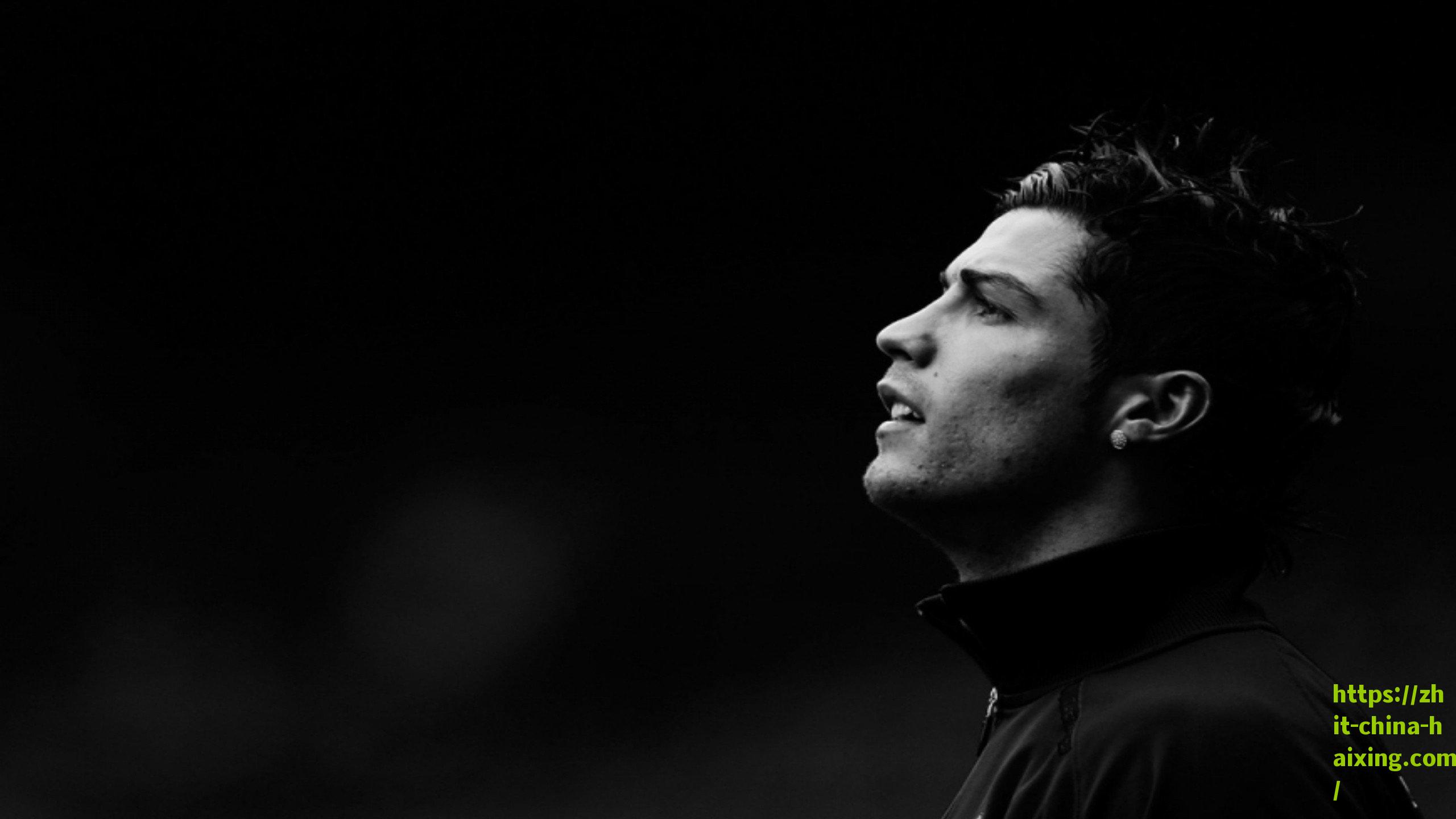 联盟祭出零容忍政策重拳,击打鹈鹕助教球迷遭无限期禁赛并面临法律追责